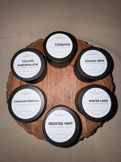 Winter Collection Discovery Set