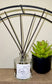 Coastal Reed Diffuser