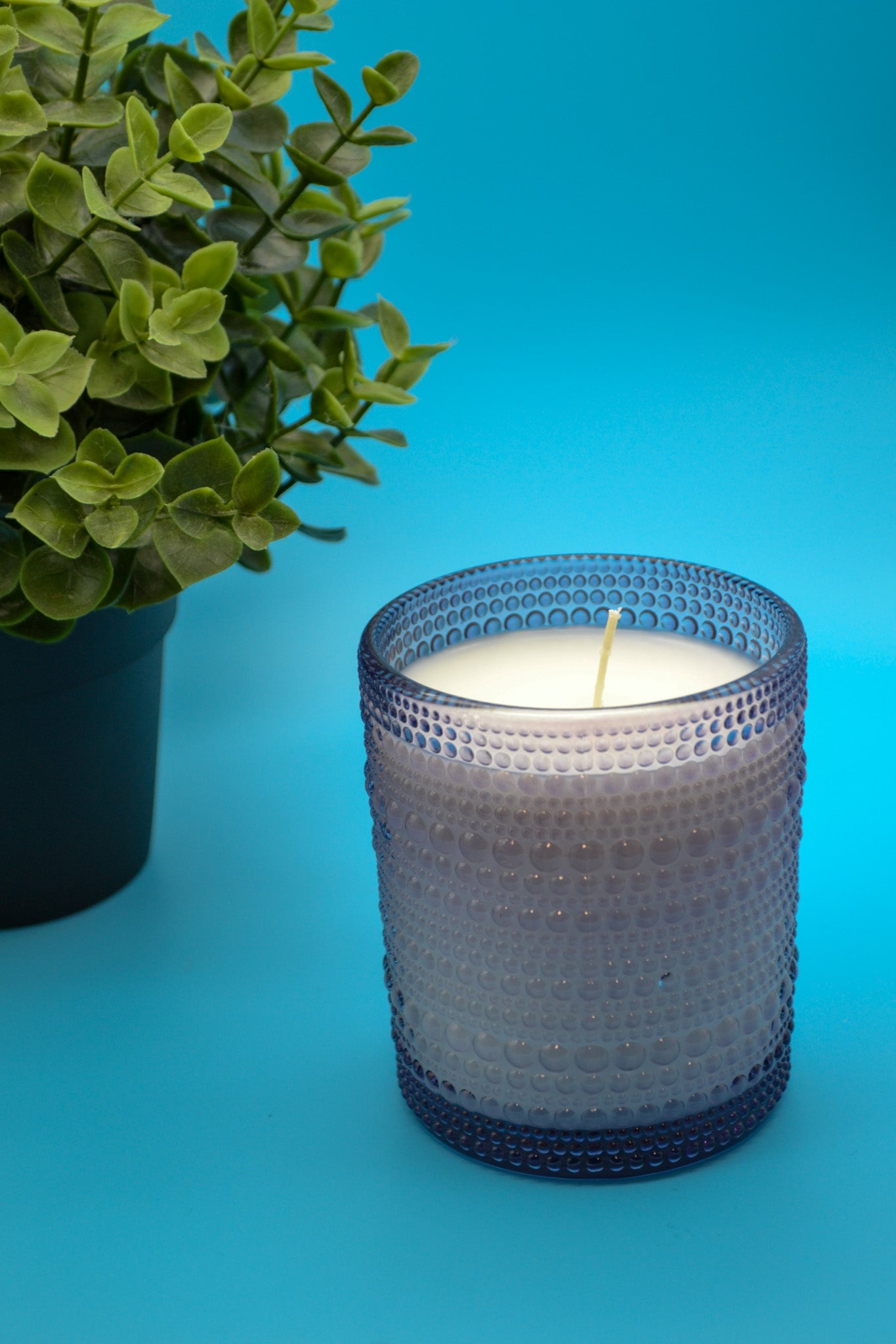 Candle in a textured glass container on a blue background with a plant to the side