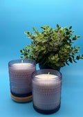 Two purple textured candles with a green plant on a blue background